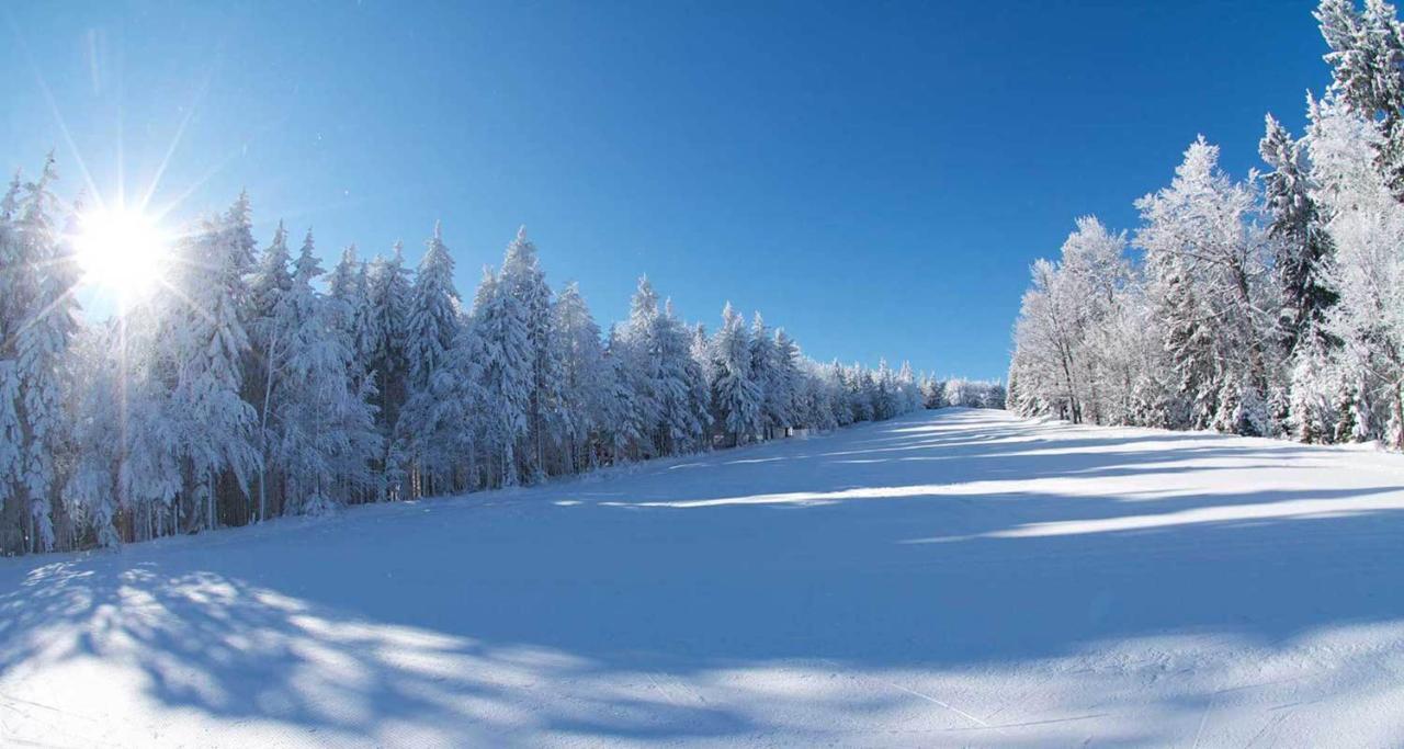 Pohorje Village Wellbeing Resort - Forest Hotel Videc Hočko Pohorje Buitenkant foto