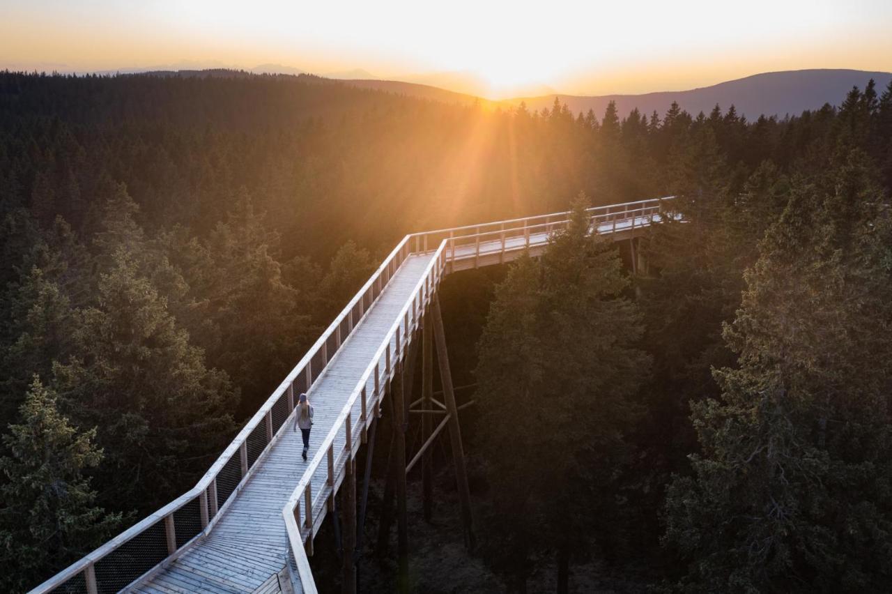 Pohorje Village Wellbeing Resort - Forest Hotel Videc Hočko Pohorje Buitenkant foto