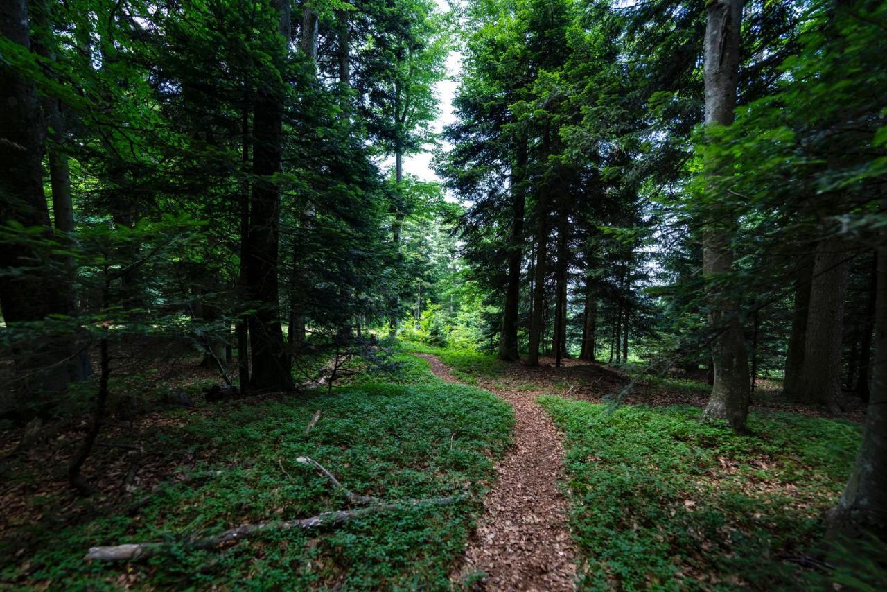 Pohorje Village Wellbeing Resort - Forest Hotel Videc Hočko Pohorje Buitenkant foto